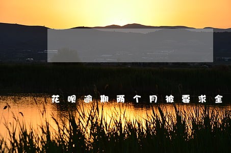 花呗逾期两个月被要求全款还