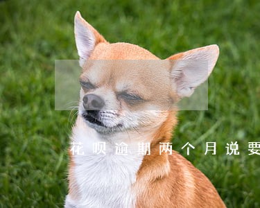 花呗逾期两个月说要通知家里人 花呗逾期两个月说要通知家里人