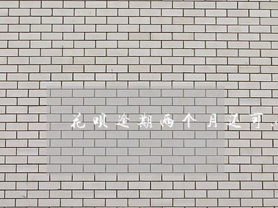 花呗逾期两个月还可以恢复吗 花呗逾期两个月还可以恢复吗