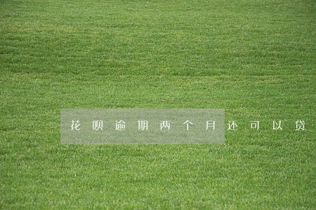 花呗逾期两个月还可以贷款吗 花呗逾期两个月还可以贷款吗