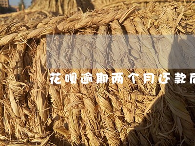 花呗逾期两个月还款后多久能恢复 花呗逾期两个月还款后多久能恢复