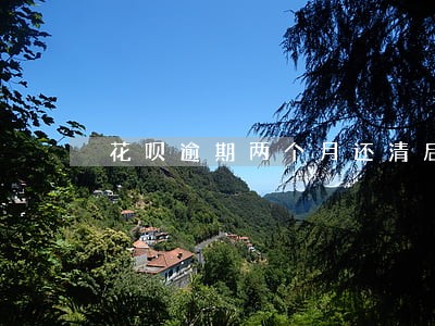 花呗逾期两个月还清后关闭花呗 花呗逾期两个月还清后关闭花呗