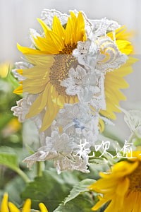 花呗逾期两个月还清涨分了 花呗逾期两个月还清涨分了