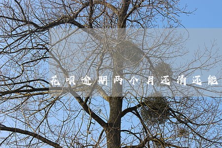 花呗逾期两个月还清还能用吗 花呗逾期两个月还清还能用吗