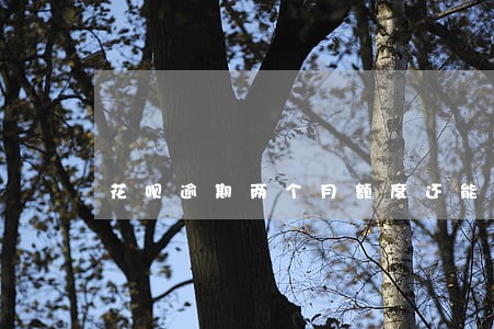 花呗逾期两个月额度还能恢复吗