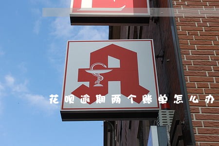 花呗逾期两个账单怎么办 花呗逾期两个账单怎么办