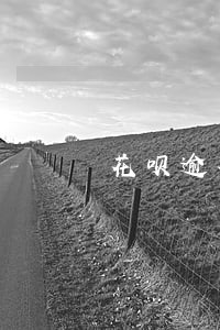 花呗逾期两千一年什么后果