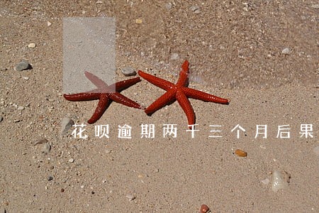 花呗逾期两千三个月后果 花呗逾期两千三个月后果