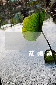 花呗逾期两千会被黑名单吗
