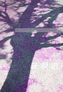 花呗逾期两千元多久联系家人