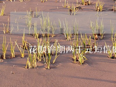 花呗逾期两千元短信庭审通知