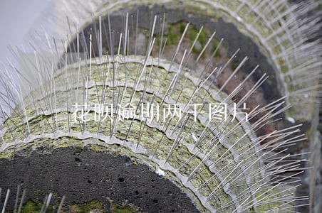 花呗逾期两千图片