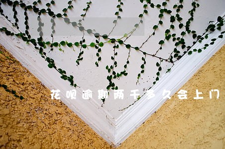 花呗逾期两千多久会上门调查 花呗逾期两千多久会上门调查