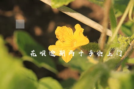 花呗逾期两千多会上门