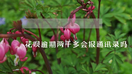 花呗逾期两千多会报通讯录吗 花呗逾期两千多会报通讯录吗