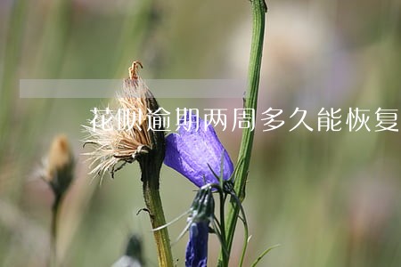 花呗逾期两周多久能恢复使用权 花呗逾期两周多久能恢复使用权