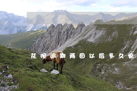花呗逾期两回以后多久恢复使用 花呗逾期两回以后多久恢复使用