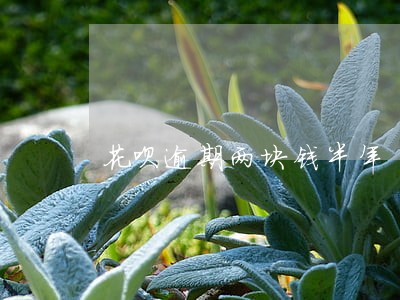 花呗逾期两块钱半年 花呗逾期两块钱半年