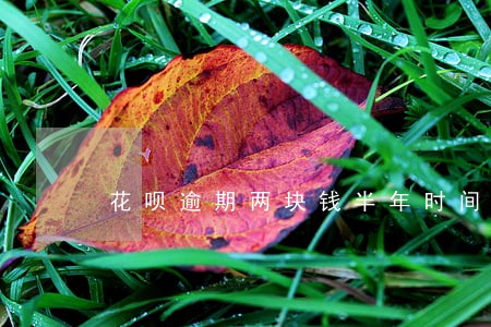 花呗逾期两块钱半年时间 花呗逾期两块钱半年时间