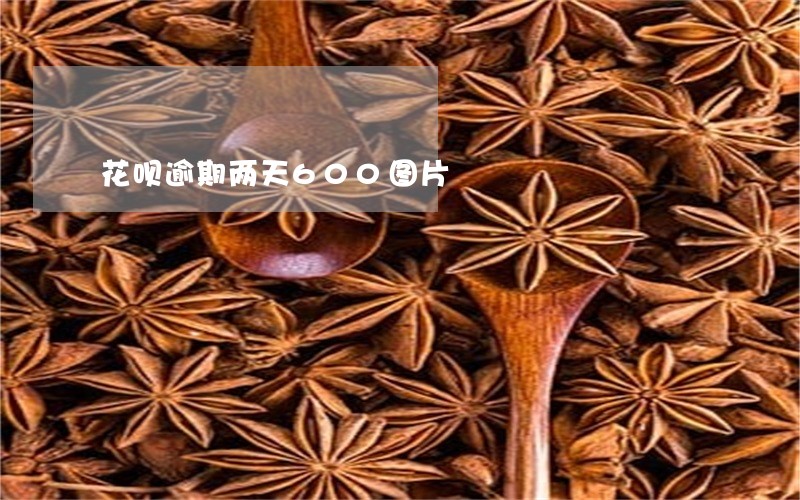 花呗逾期两天600图片