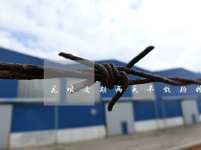 花呗逾期两天不能购物了 花呗逾期两天不能购物了