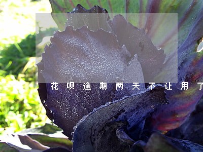 花呗逾期两天不让用了 花呗逾期两天不让用了