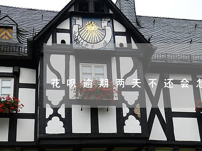 花呗逾期两天不还会怎么样 花呗逾期两天不还会怎么样