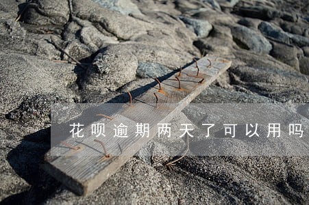 花呗逾期两天了可以用吗 花呗逾期两天了可以用吗