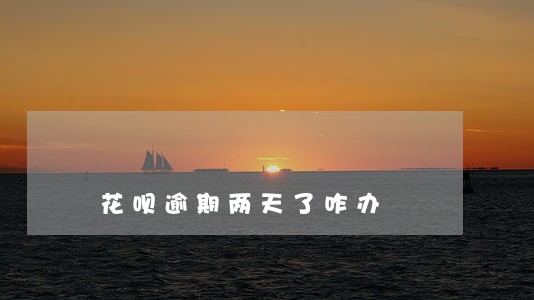 花呗逾期两天了咋办 花呗逾期两天了咋办