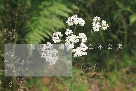 花呗逾期两天会不会黑 花呗逾期两天会不会黑