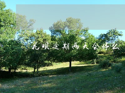 花呗逾期两天会停么 花呗逾期两天会停么