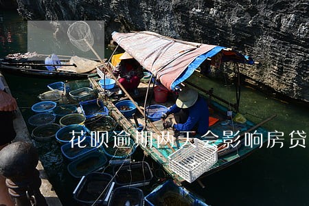 花呗逾期两天会影响房贷吗 花呗逾期两天会影响房贷吗