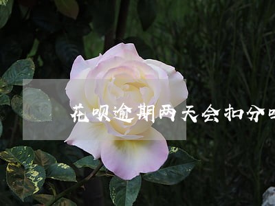 花呗逾期两天会扣分吗 花呗逾期两天会扣分吗