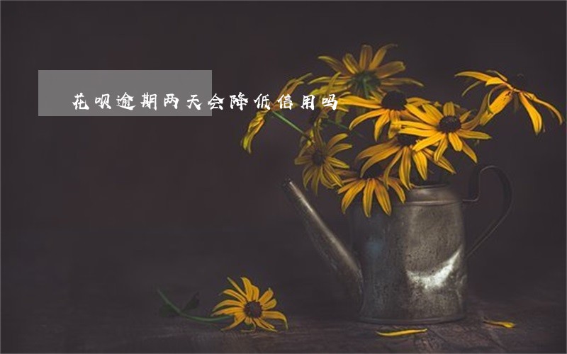 花呗逾期两天会降低信用吗 花呗逾期两天会降低信用吗