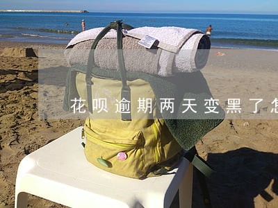 花呗逾期两天变黑了怎么恢复 花呗逾期两天变黑了怎么恢复