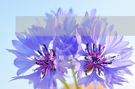 花呗逾期两天多久能用 花呗逾期两天多久能用