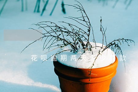 花呗逾期两天多少罚款 花呗逾期两天多少罚款