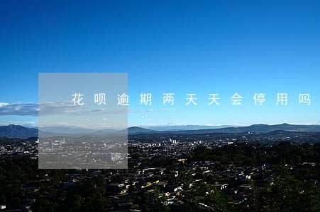 花呗逾期两天天会停用吗 花呗逾期两天天会停用吗