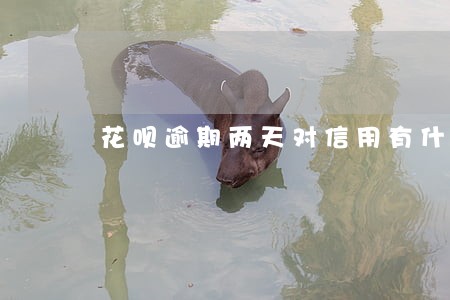 花呗逾期两天对信用有什么影响