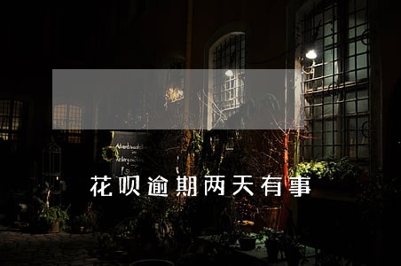 花呗逾期两天有事 花呗逾期两天有事