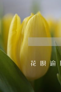 花呗逾期两天有事么 花呗逾期两天有事么