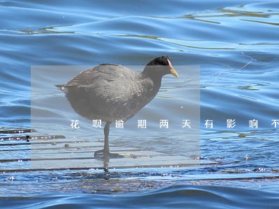 花呗逾期两天有影响不 花呗逾期两天有影响不