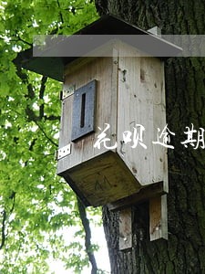 花呗逾期两天有没有事会怎么样 花呗逾期两天有没有事会怎么样