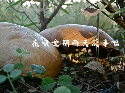 花呗逾期两天没事吧 花呗逾期两天没事吧