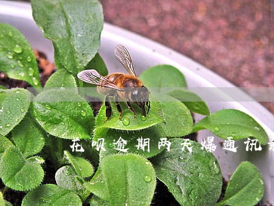 花呗逾期两天爆通讯录 花呗逾期两天爆通讯录