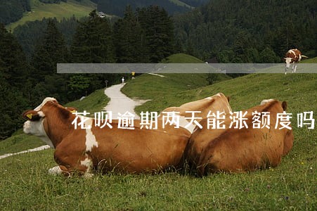 花呗逾期两天能涨额度吗 花呗逾期两天能涨额度吗