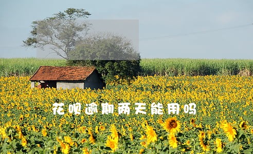 花呗逾期两天能用吗 花呗逾期两天能用吗
