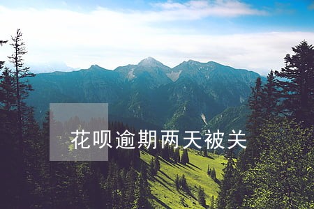 花呗逾期两天被关 花呗逾期两天被关
