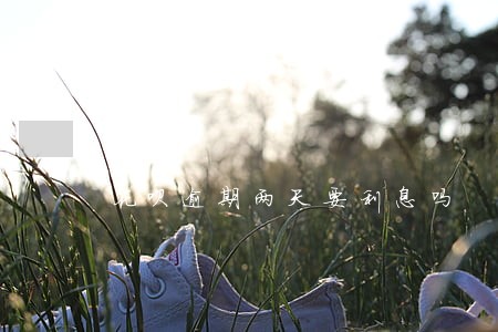 花呗逾期两天要利息吗 花呗逾期两天要利息吗