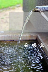 花呗逾期两天还上多久能用 花呗逾期两天还上多久能用